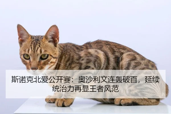 斯诺克北爱公开赛：奥沙利文连轰破百，延续统治力再显王者风范