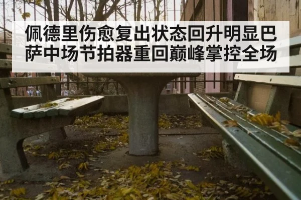 佩德里伤愈复出状态回升明显巴萨中场节拍器重回巅峰掌控全场