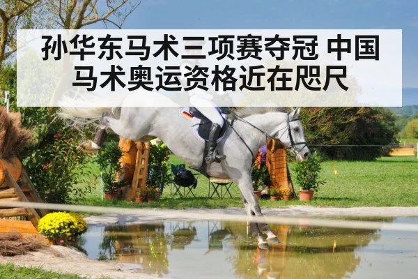 孙华东马术三项赛夺冠 中国马术奥运资格近在咫尺