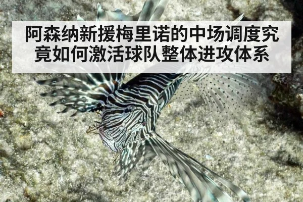 阿森纳新援梅里诺的中场调度究竟如何激活球队整体进攻体系
